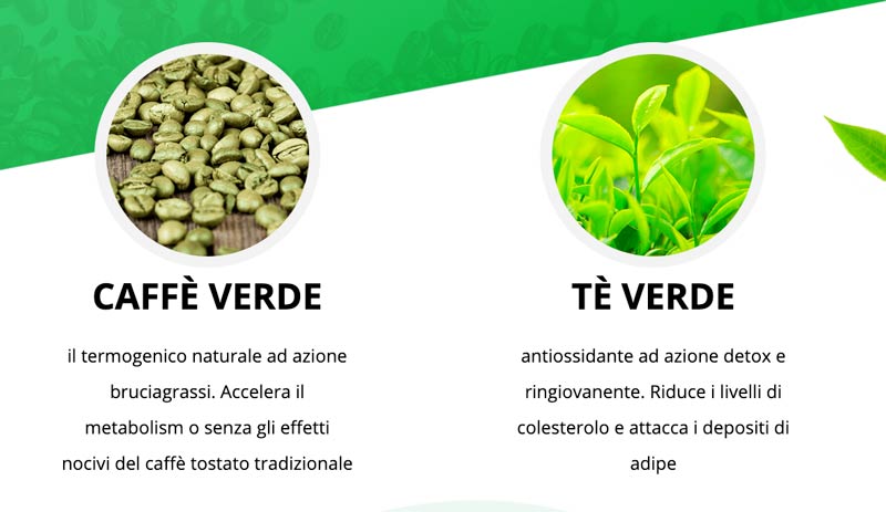 Green Coffee & Green Tea Plus: ingredienti