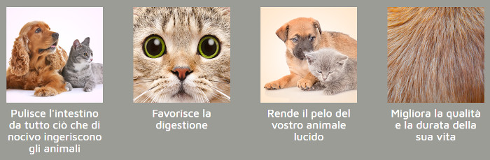 Happy Pet, proprietà e benefici